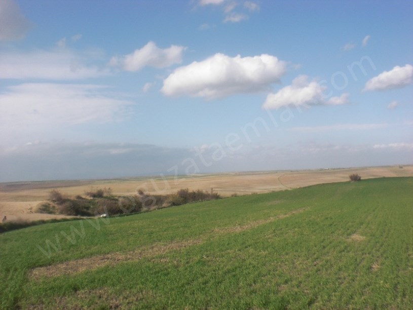 EDİRNE BÖLGESİNDE 500 1000 2500 5000 DÖNÜM TARIM ARAZİLERİ