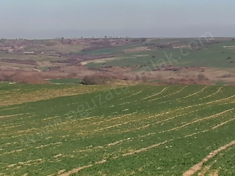 EDİRNE BÖLGESİNDE 220 DÖNÜM YATIRIMLIK TARIM ARAZİSİ