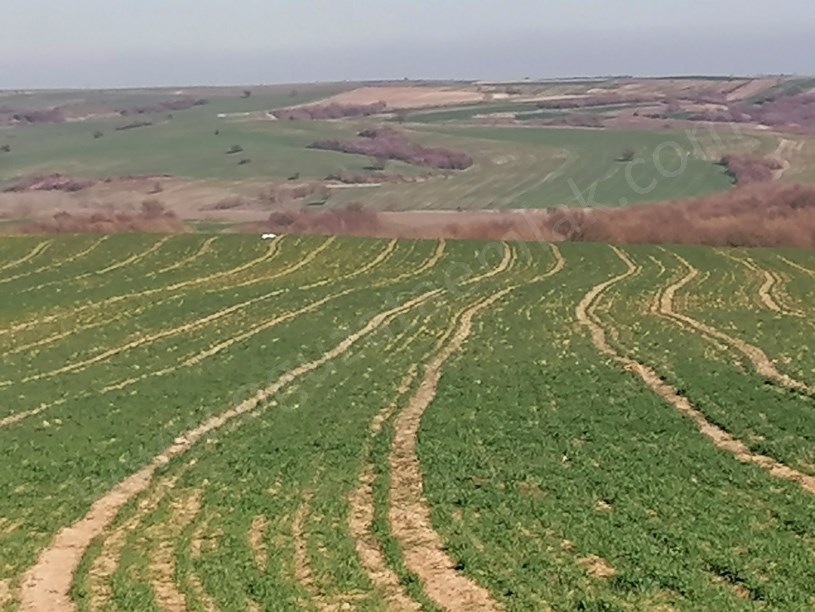 EDİRNE BÖLGESİNDE 220 DÖNÜM YATIRIMLIK TARIM ARAZİSİ