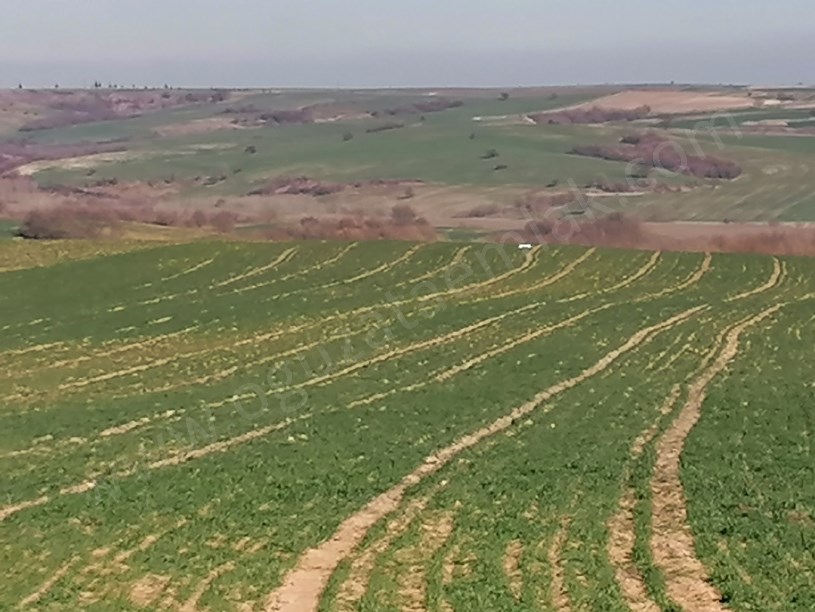 EDİRNE BÖLGESİNDE 220 DÖNÜM YATIRIMLIK TARIM ARAZİSİ