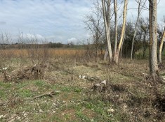 GÖLEMİRLER KÖYÜNDE Satılık Tarla