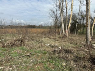 GÖLEMİRLER KÖYÜNDE Satılık Tarla