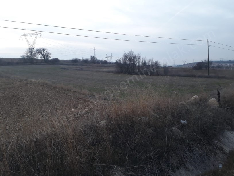 İNEBOLU YOLUNA CEPHELİ Satılık Fırsatlı Tarla