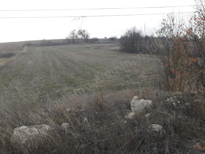 İNEBOLU YOLUNA CEPHELİ Satılık Fırsatlı Tarla