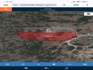 AYAŞ ORTA BEREKET DE SATILIK HİSSELİ TARLA