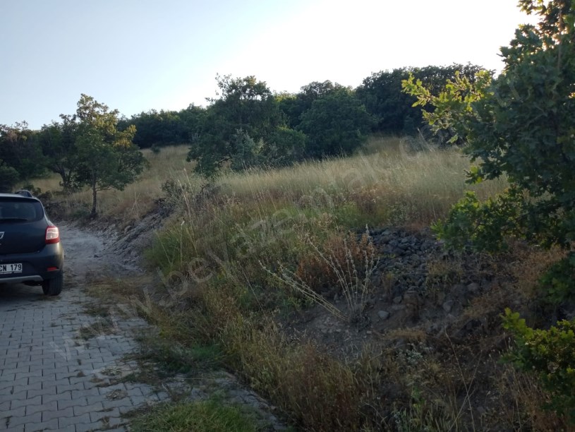 AYAŞ ORTA BEREKET DE SATILIK TARLA