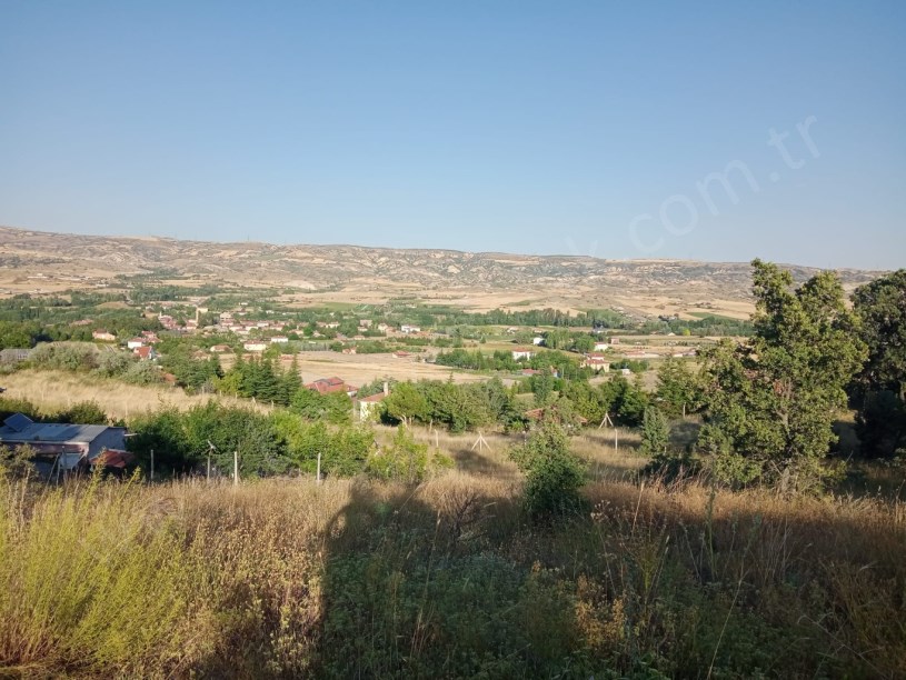 AYAŞ ORTA BEREKET DE SATILIK TARLA