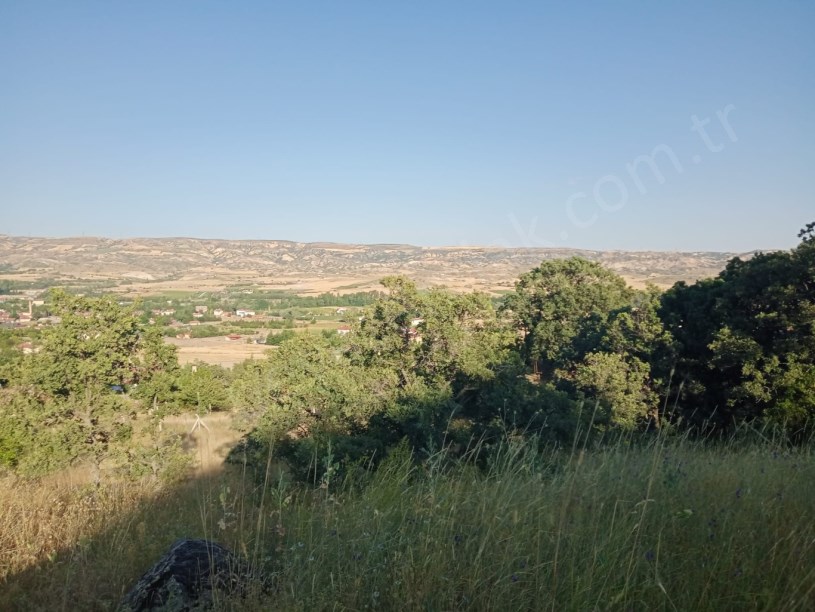 AYAŞ ORTA BEREKET DE SATILIK TARLA