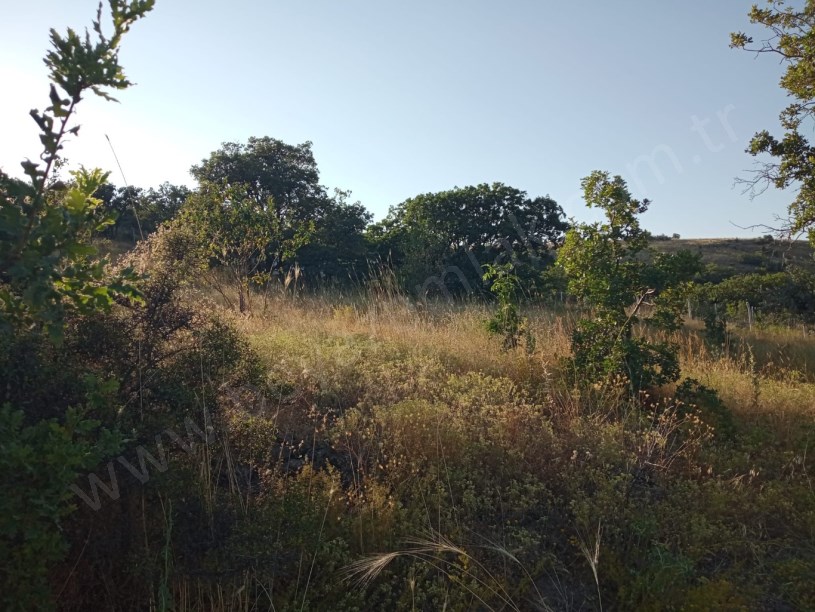 AYAŞ ORTA BEREKET DE SATILIK TARLA