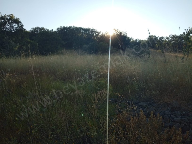 AYAŞ ORTA BEREKET DE SATILIK TARLA