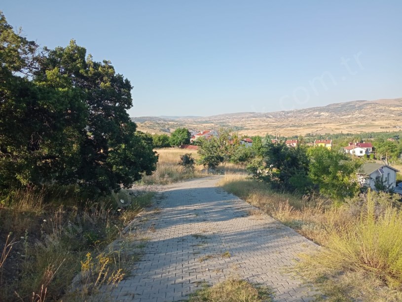 AYAŞ ORTA BEREKET DE SATILIK TARLA