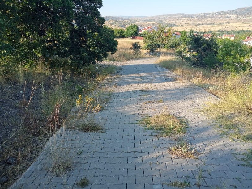 AYAŞ ORTA BEREKET DE SATILIK TARLA