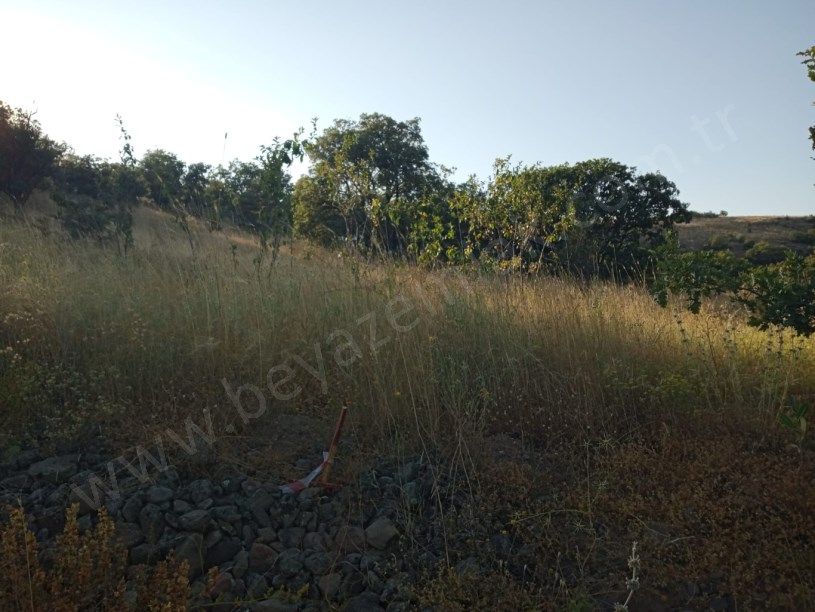 AYAŞ ORTA BEREKET DE SATILIK TARLA