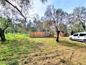 VİAL  BALİKESİR HAVRANDA ANA CADDEYE YAKIN 1320m2 ZEYTİNLİK