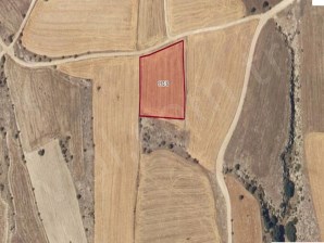 VİAL NEVŞEHİR KARLIK KÖYÜ 4387 M2 TARLA