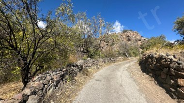 V İ A L  EĞRİBUCAKTA EVLİ SATILIK BAĞ