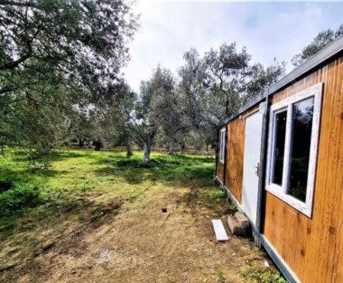 VİAL  BALİKESİR HAVRANDA ANA CADDEYE YAKIN 1320m2 ZEYTİNLİK