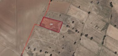 VİAL NEVŞEHİR HASANLAR KÖYÜ 3000 M2 BAĞ