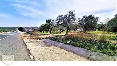 VİAL   Balıkesir Havran Köylüce 1.320m2 Zeytinlik + 21m2 Konteyner