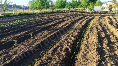 almera emlaktan satılık tek tapu çiftlik