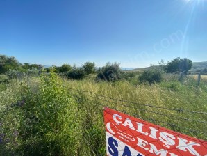 Muşruf Köyü Yolu Üzeri Satılık Arsa(Bağ)