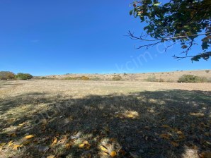 Çaybaşı Köyünde Satılık 2 Ad. Tarla 