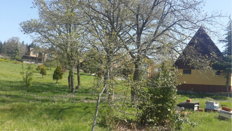 Merkez Gebze Satılık Villa |  5+3 Oda | 280M2 25.000.000Tl  Krediye Uygun  | Villa Ve Müstakil | Kat Kaloriferi | 3 Banyo | 5 Yatak Odası Resim-2