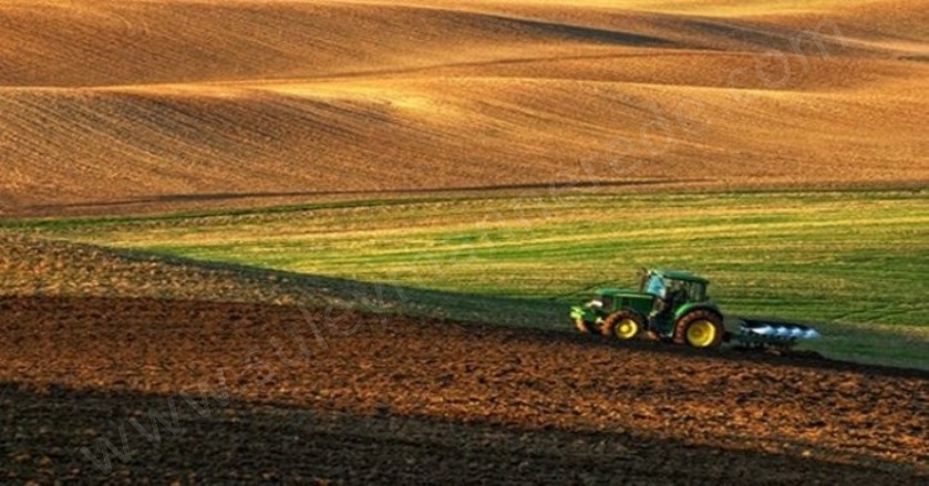 Kızılören Konya Satılık Tarla |  3800M2 700.000Tl Resim-1