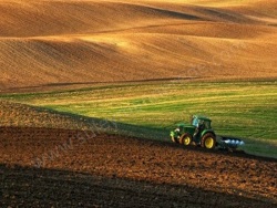 Merkez Kızılören Satılık Tarla 3800 M2