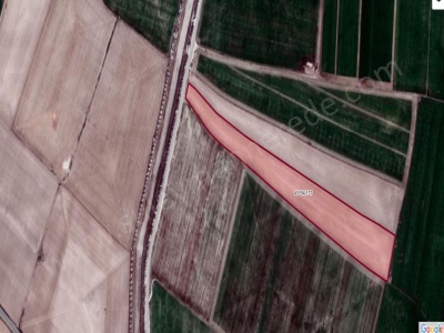 Süleyman Yazıbelen De Güvenç E Yakın 32 000 M2 Satıyor Satılık Tarla Selçuklu