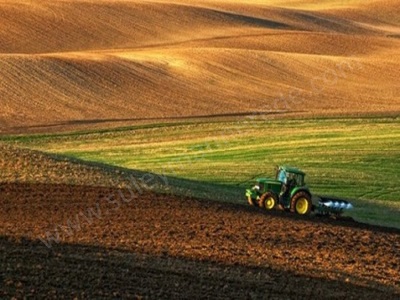 Kızılören Verimli Topraklarında Satılık Tarla 4000M2 Merkez