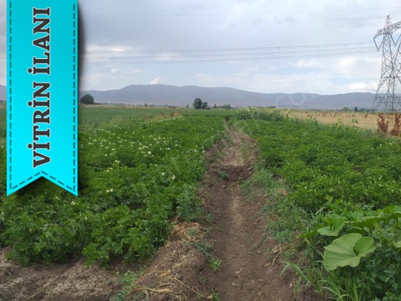 Dadaşkent Aziziye Satılık Tarla | 2.480.000Tl Resim-2