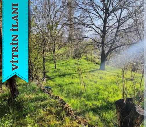 Erzurum Tortumda Bahçeli Eşyalı Ler – Sadece Ev Fiyatına Bahçe Hediye! Çınardan 5137 2+1 Satılık Müstakil