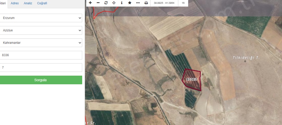 Dadaşkent Aziziye Satılık Tarla | 295.000Tl Resim-2