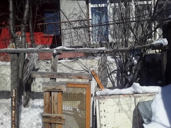 Sanayi Mah. Yakutiye Satılık Müstakil Ev |  2+1 Oda | 220M2 1.350.000Tl  Krediye Uygun  | Müstakil | Soba | 1 Banyo Resim-4