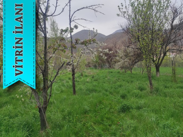 - Uzundere Satılık Arsa |  2309M2 5.500.000Tl Resim-2