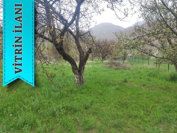 - Uzundere Satılık Arsa |  2309M2 5.500.000Tl Resim-3