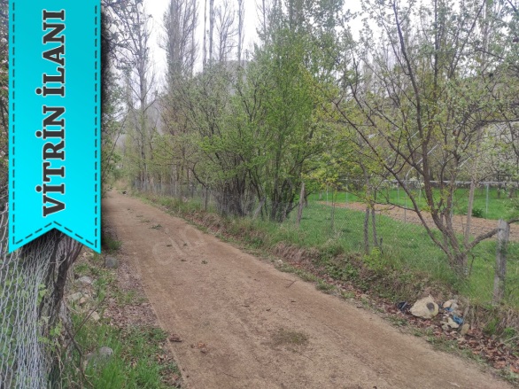 - Uzundere Satılık Arsa |  2309M2 5.500.000Tl Resim-4