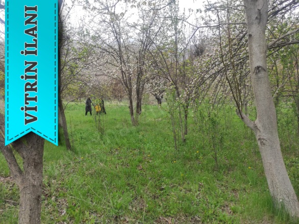 - Uzundere Satılık Arsa |  2309M2 5.500.000Tl Resim-5