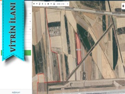 Yakutiye Çiftlik Satılık Tarla