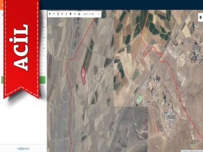 Börekli Mahallesinde 22 Dönüm Acil Satılık Tarla Çınardan İlan No: 4046 Palandöken Köyler