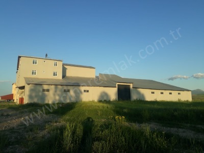 Satılık Arazi Un Fabrikası Yem Ve Çiftlik Kompleksi Lojmanları Çınardan İlan No:4527 Horasan