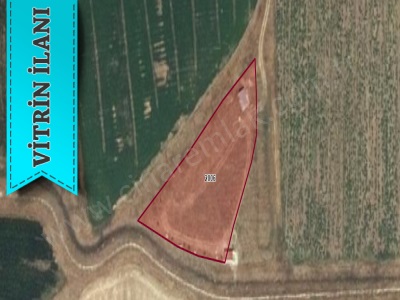 Çiğdemlide Etrafı Çevrili Alt Yapısı Hazır Çınardan İlan No:5086 Satılık Tarla Aziziye Dadaşkent