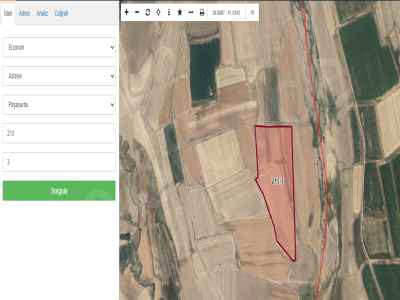 Field For Sale in  Turkey, Erzurum, Aziziye, Dadaskent 