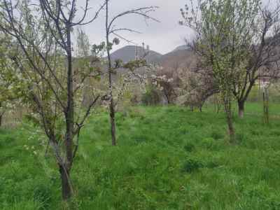 Land For Sale in  Turkey, Erzurum, Uzundere,  , 2309 m2