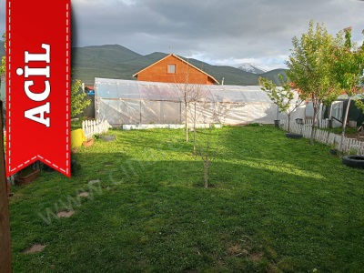 Çat Yolu Üzerinde 500 M2 Meyve Ağaçlı Acil Satılık Arsa Hobi Bahçesi 3111