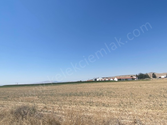 Merkez Bolvadin Satılık Tarla |  117000M2 34.000.000Tl Resim-1