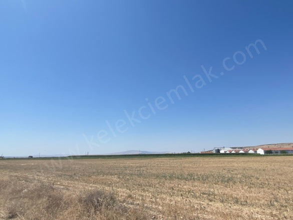 Merkez Bolvadin Satılık Tarla |  117000M2 34.000.000Tl Resim-4