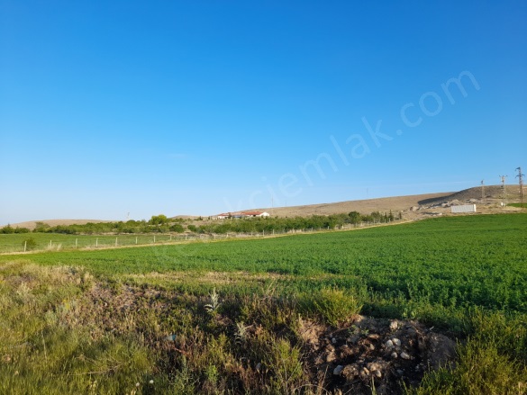 Merkez Bolvadin Satılık Tarla |  21323M2 4.200.000Tl Resim-4