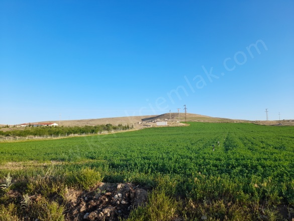 Merkez Bolvadin Satılık Tarla |  21323M2 4.200.000Tl Resim-5